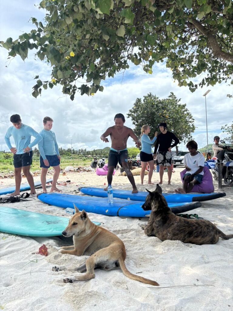 Kuta Lombok Transfers guests